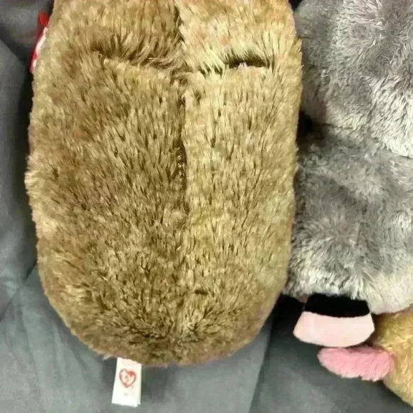 Beanie boo lot of 3 Ida Rocco and Nacho  2 with tags - Picture 5 of 7